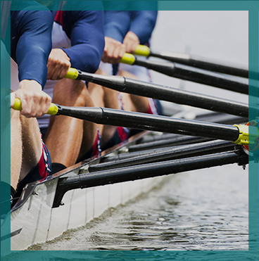 Organization performance analytics